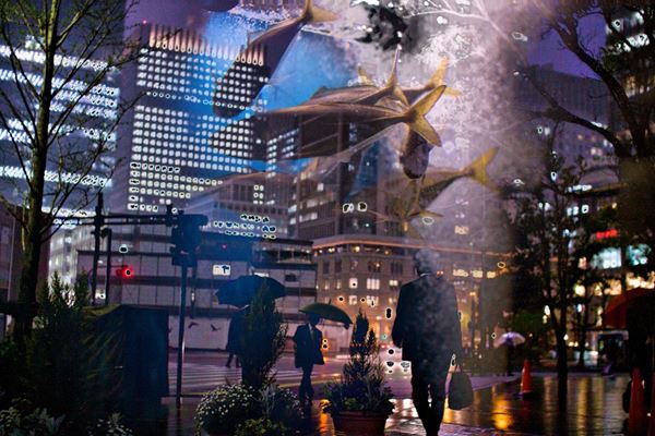 David  Tesinsky - Flowing as fishes