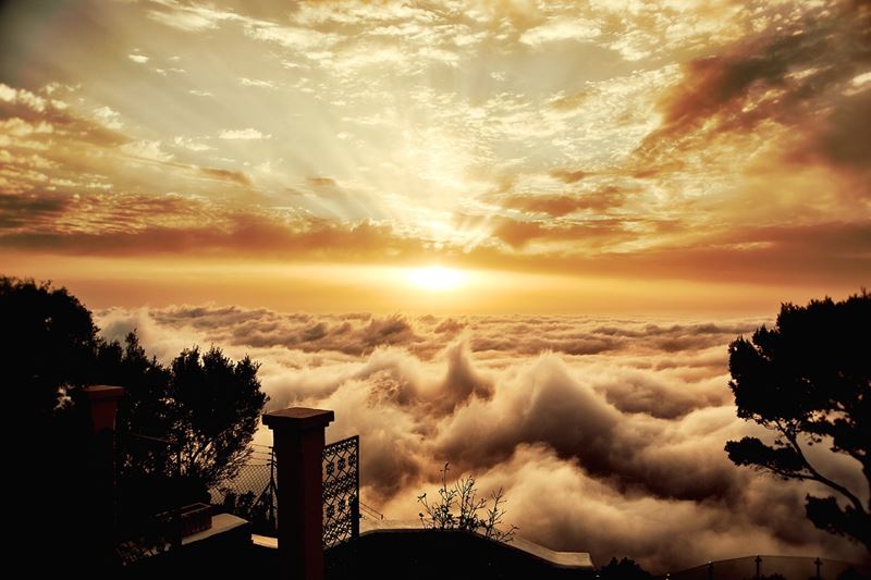 Heaven’s Gate