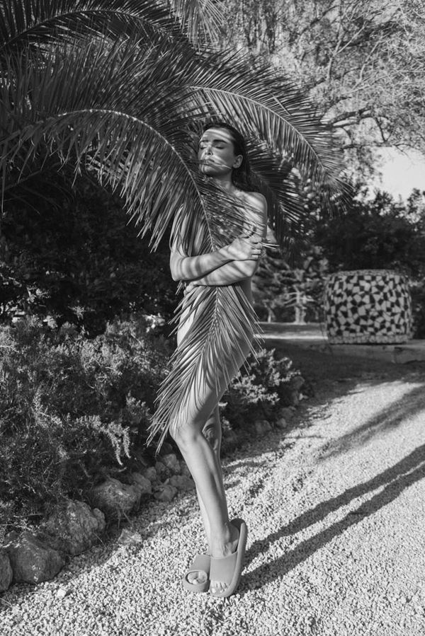 Teddy Marks - Lovers of Summer Palm 4