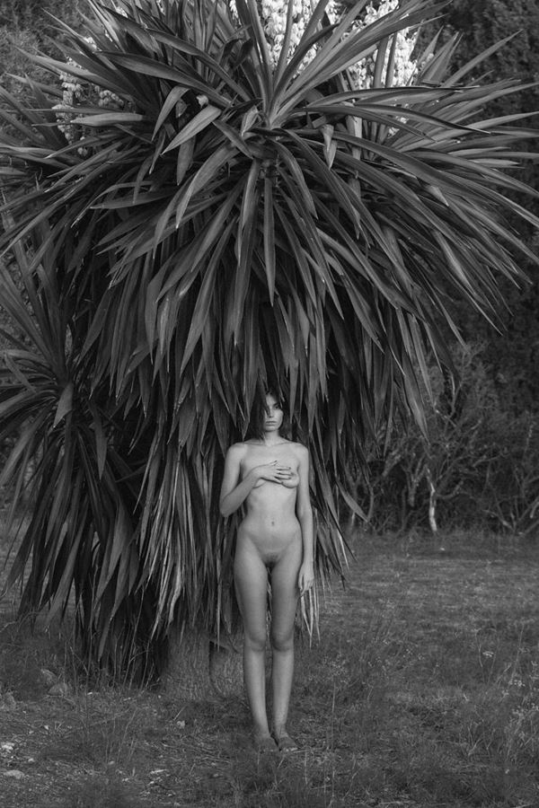 Teddy Marks - La Finca Sunset 3