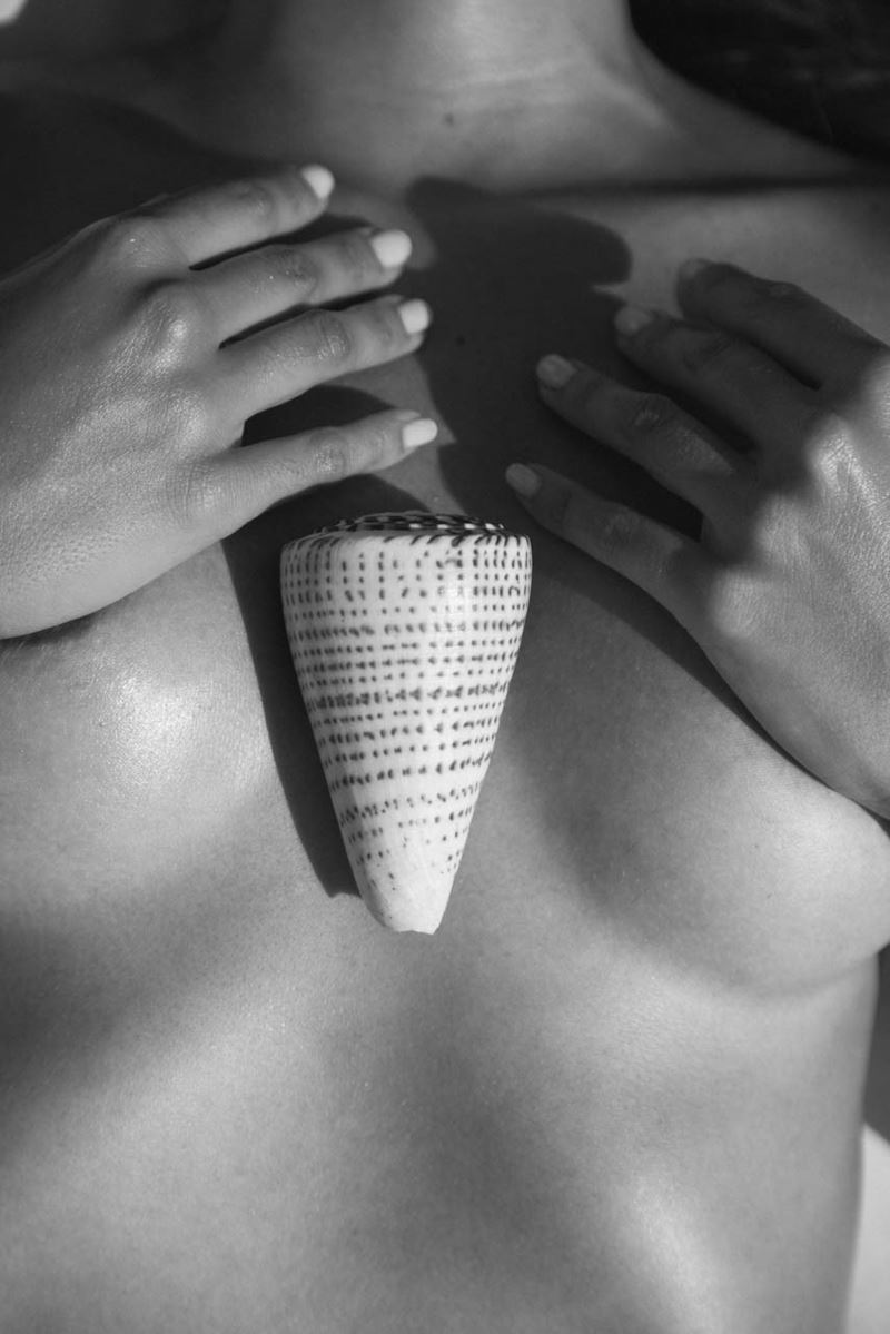 Teddy Marks - Shell Top (2023), stampa digitale fine art su carta Hahnemühle