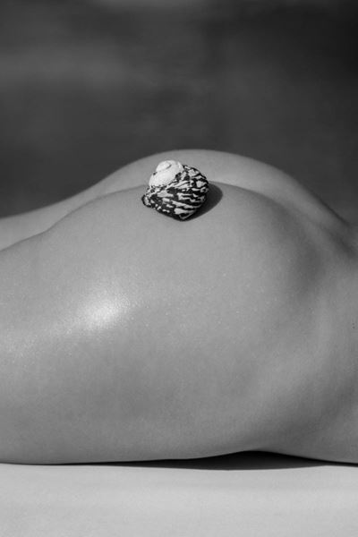 Shell Bottom - Stampa Digitale Fine Art