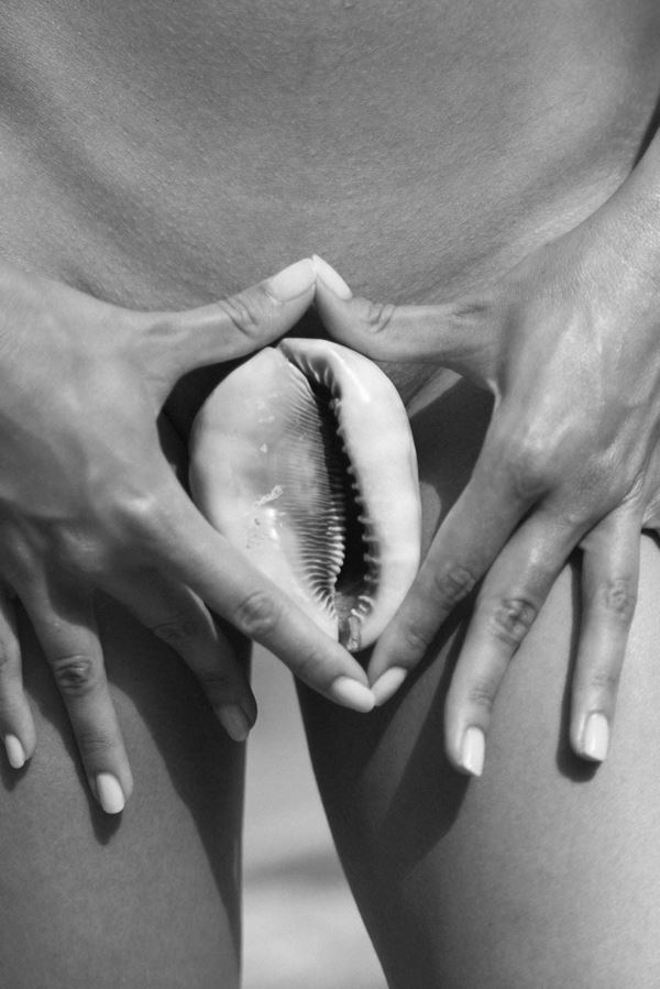 Teddy Marks - Shell Condition 2