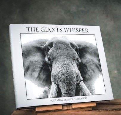 Angulo  José Miguel - The Giants Whisper