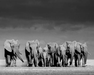 Hold the line, stampa digitale Fine Art