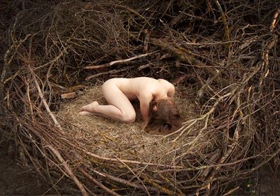 Nest - Stampa digitale Fine Art su carta Fine Art Gallery