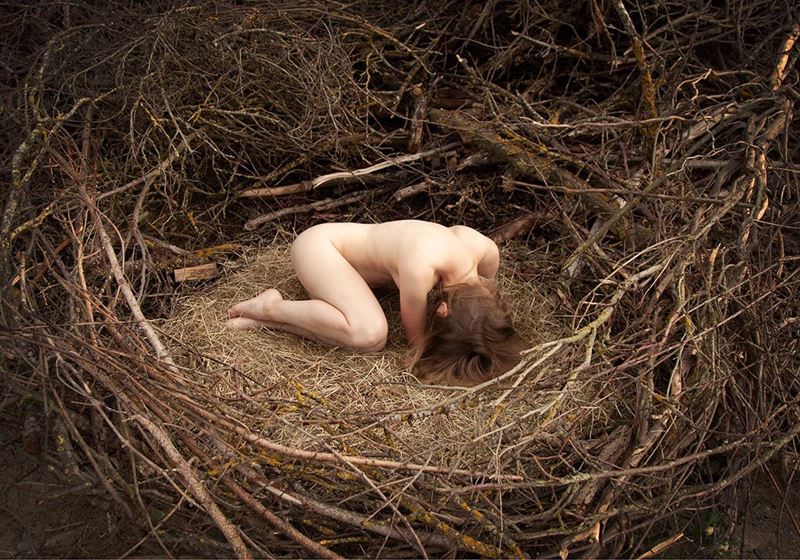 Maria Semmer - Nest - Stampa digitale Fine Art su carta Fine Art Gallery