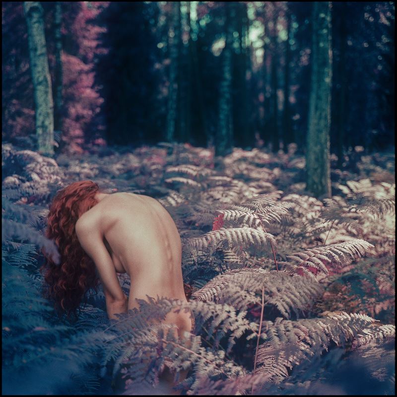 Łukasz Spychała Koneser - Pteridium aquilinum #2, Stampa Fine Art digitale su Hahnemühle Photo Ra...