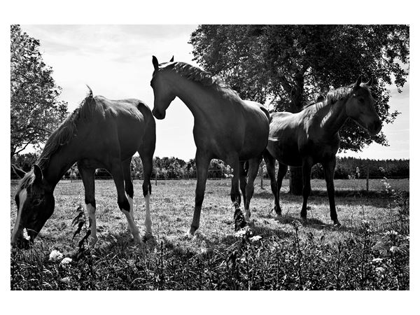 Emanuele  Cucuzza - Untitled, The Netherlands