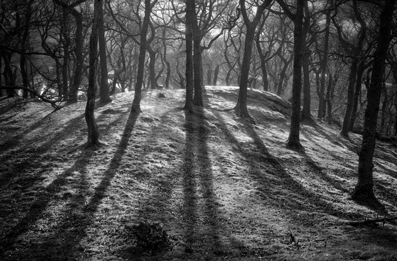 The Space Before Us 13