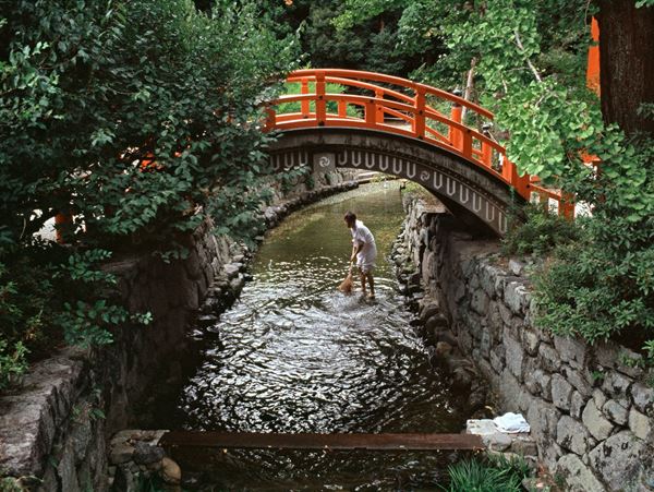 Fabrizio  Alzati - Sweeping the Stream