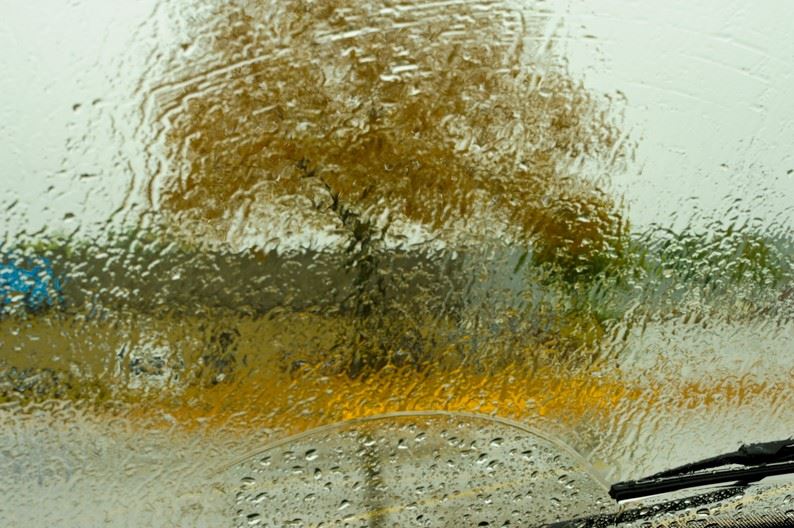 Rain on Car Windshield