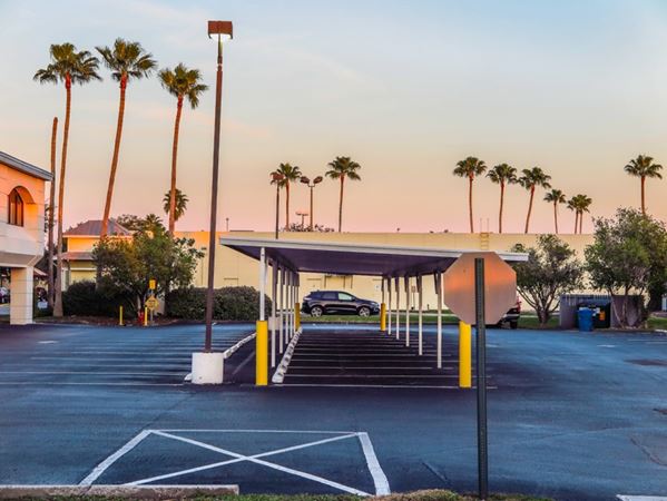 Dennis  Church - Car Port and Palm Trees