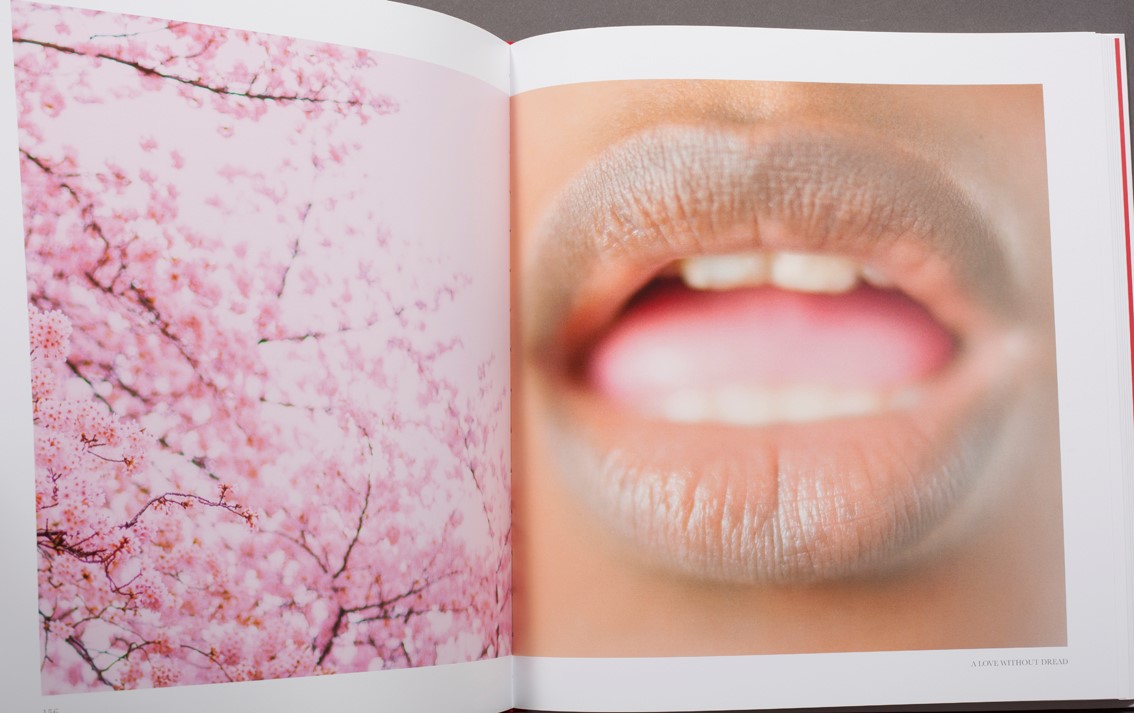 Stampa di prova Indigo + libro firmato “Eros”