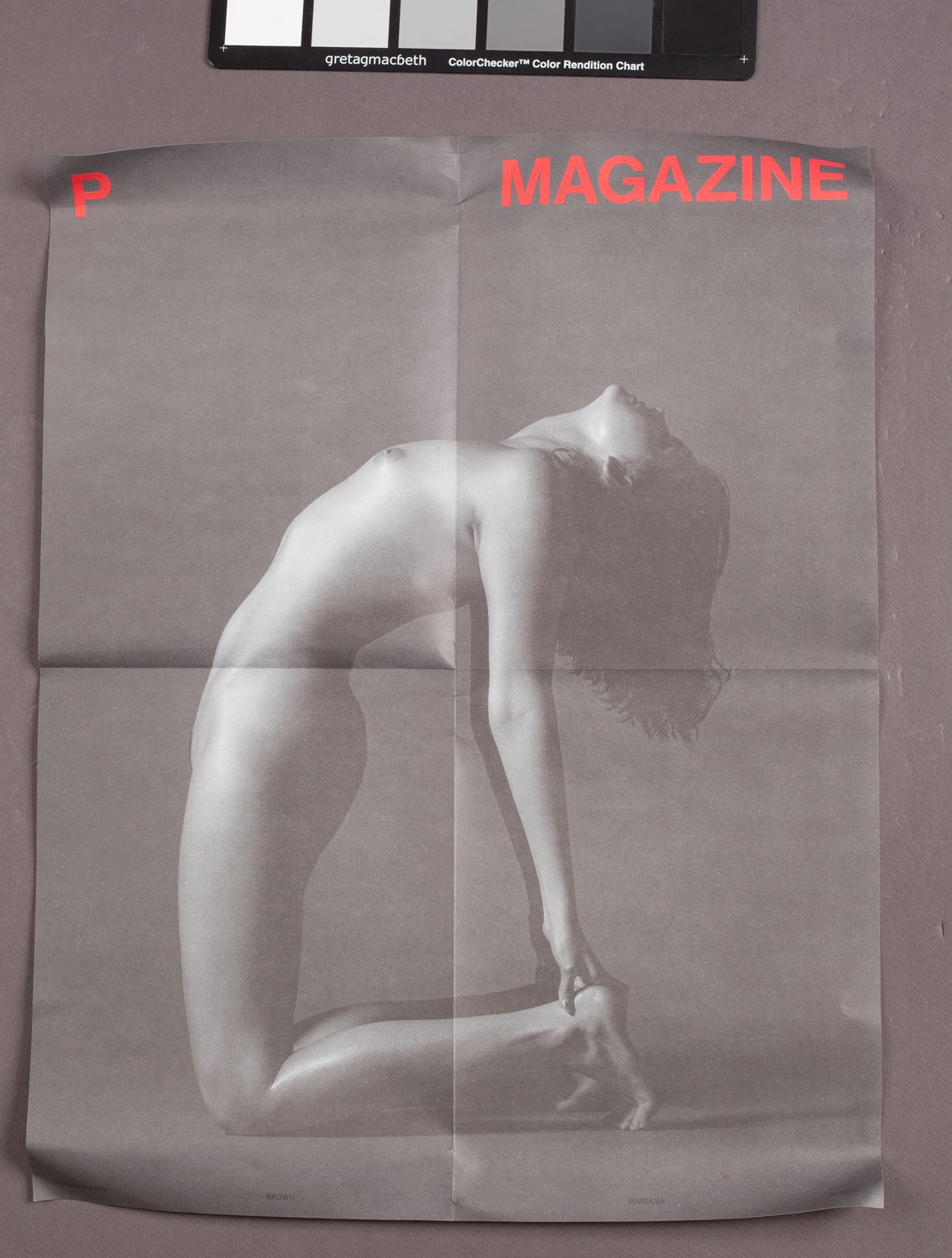 “P Magazine” N.7 (PRIMAL)