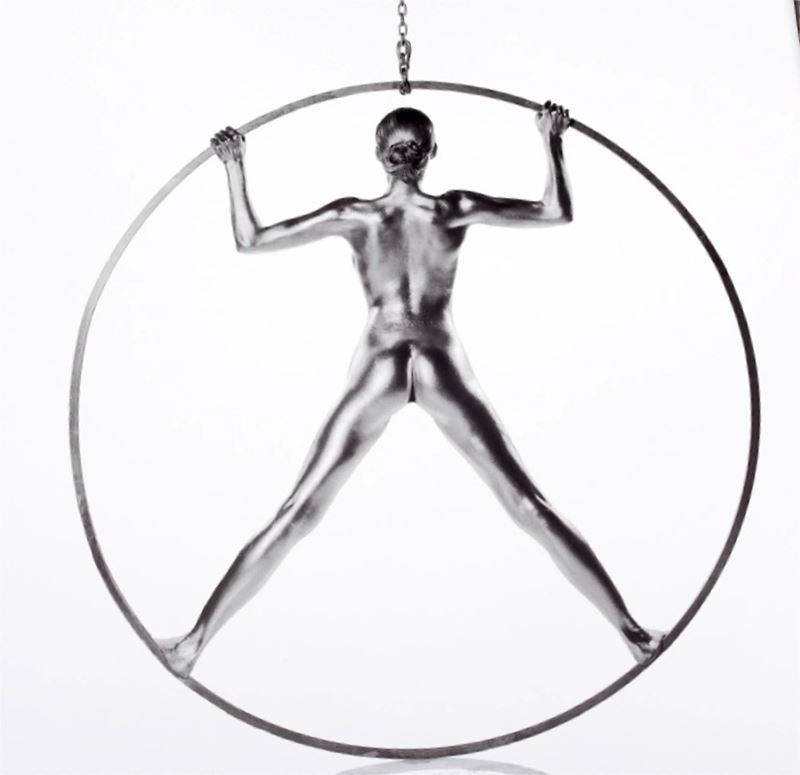 Silvereye Collection I