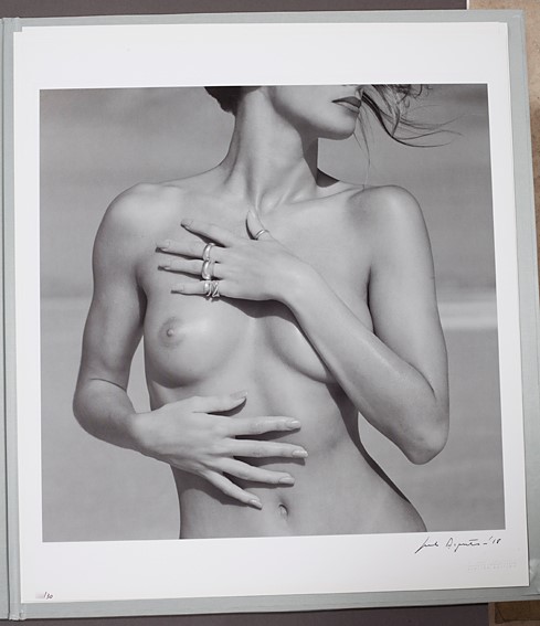 Silvereye Collection I