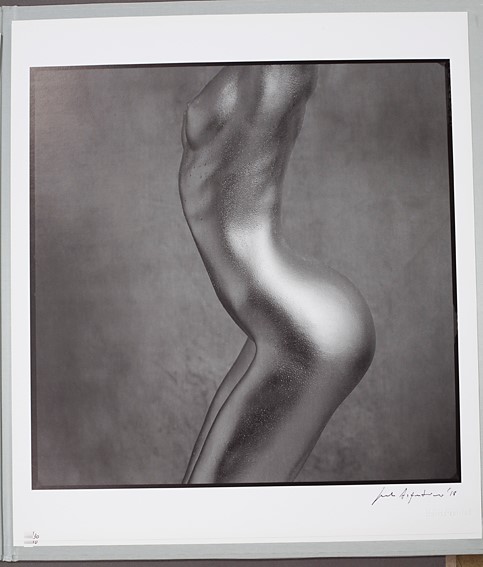 Silvereye Collection I