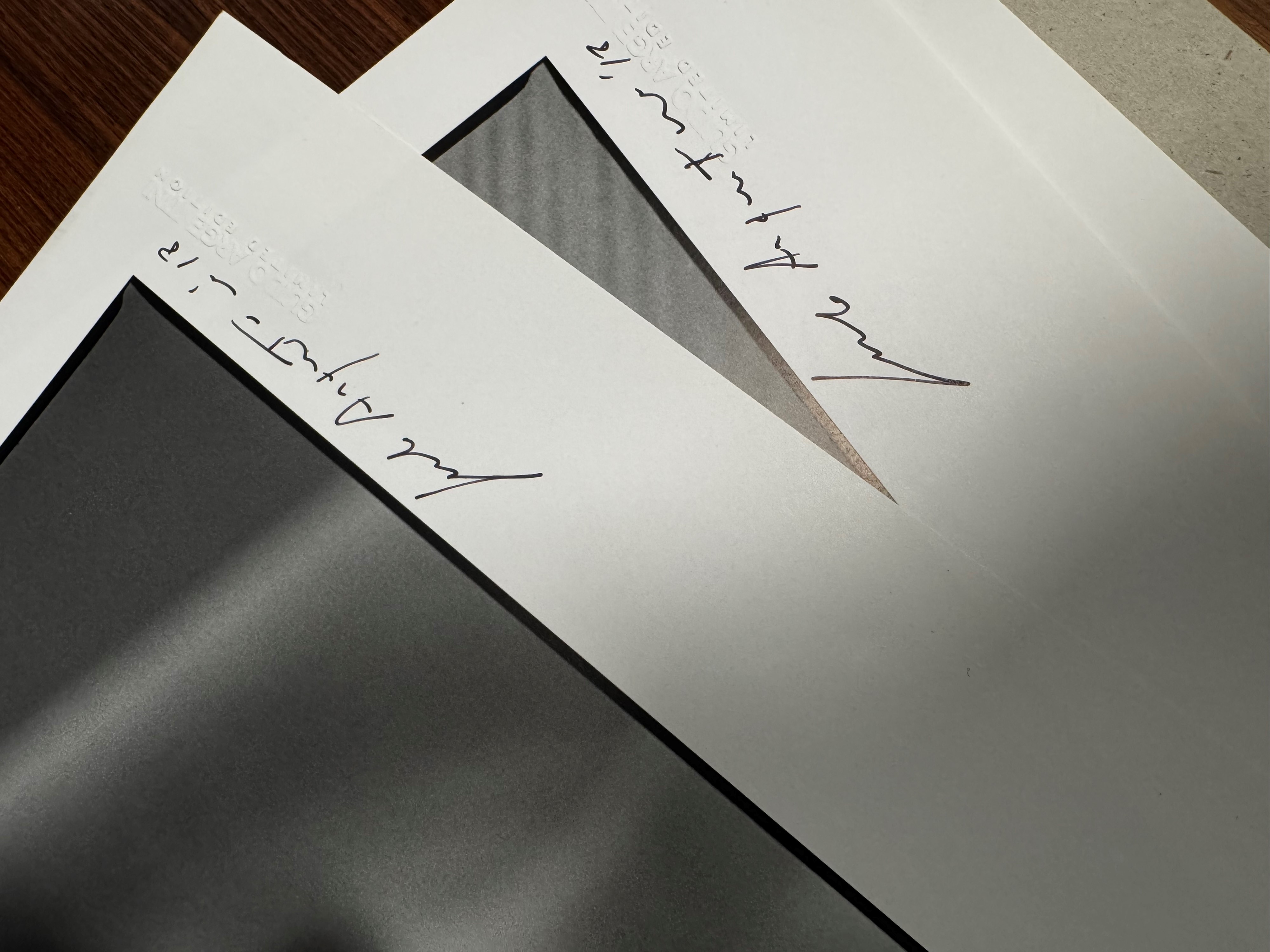 Silvereye Collection I