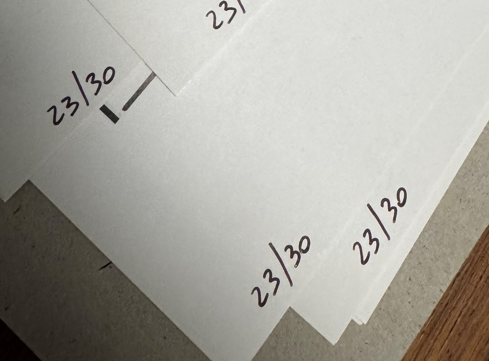 Silvereye Collection I