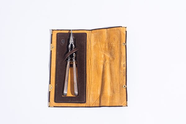 Schiaccianoci / Apricrostacei in argento