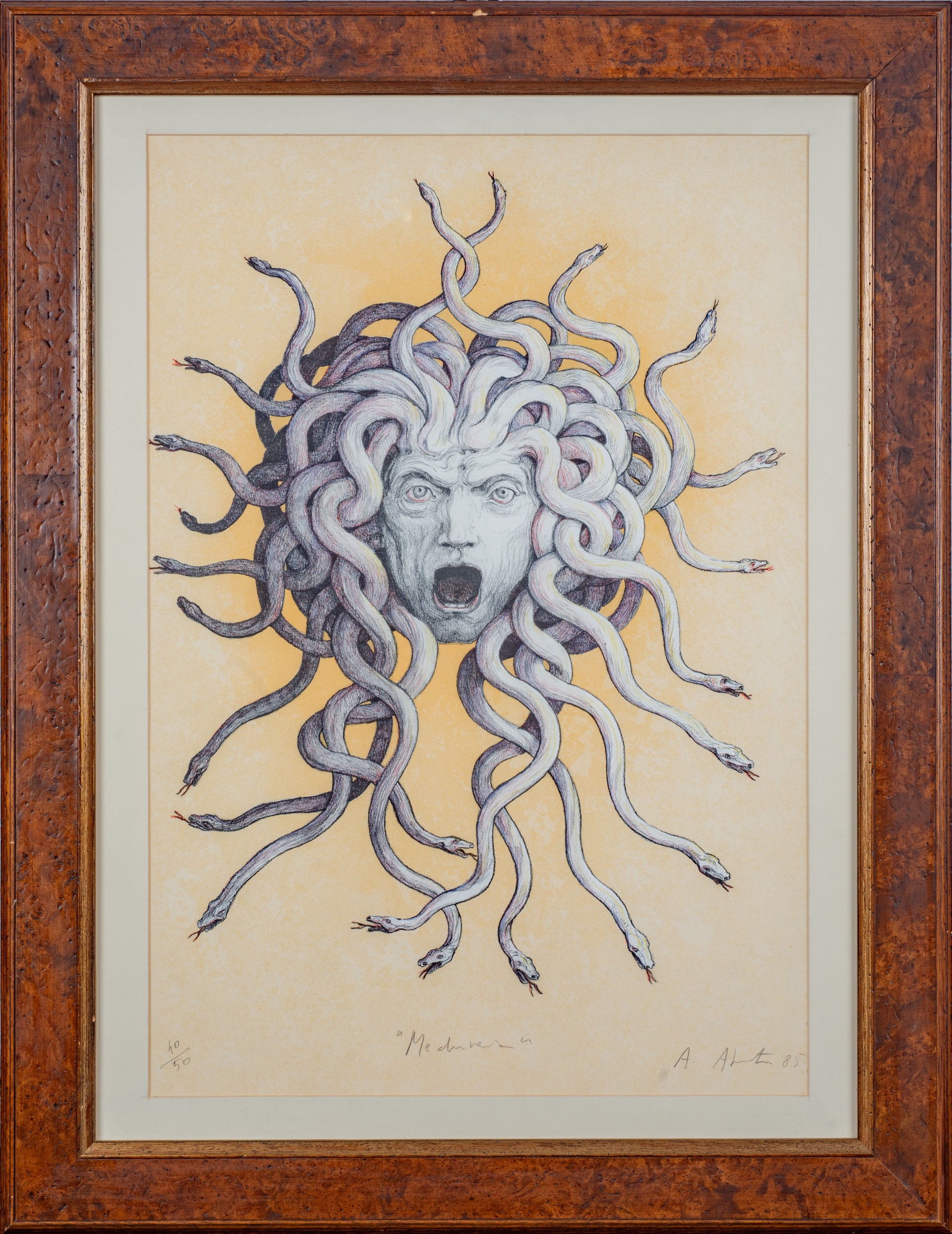 Medusa