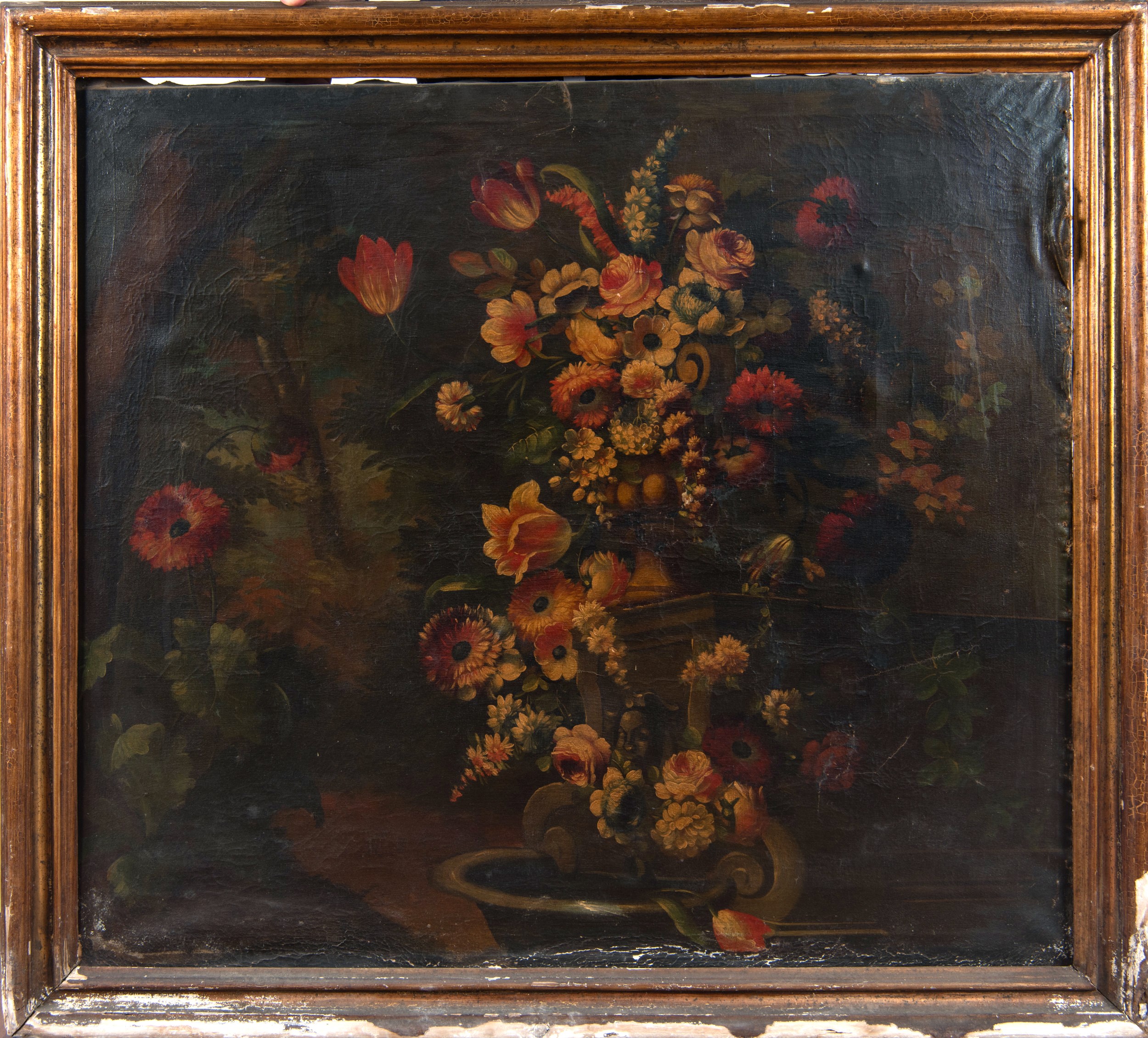 Coppia di Nature Morte