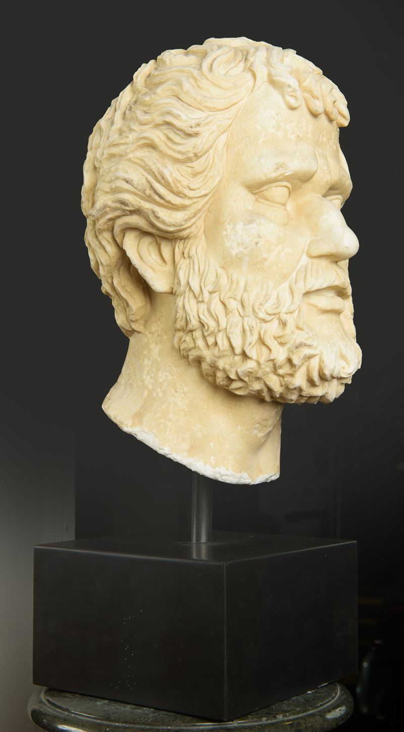 Testa maschile barbata