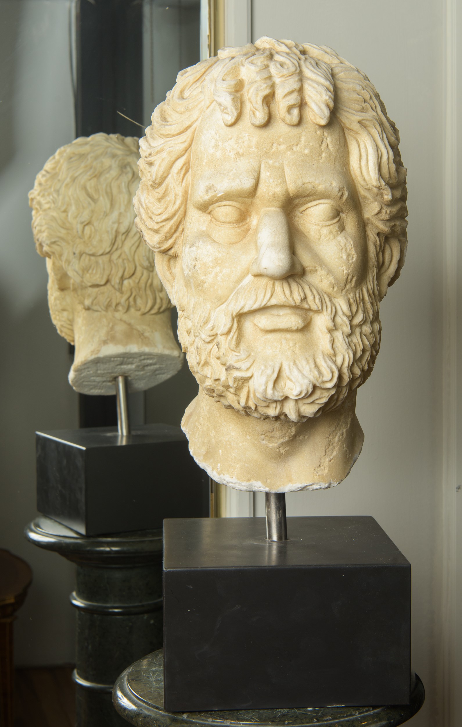 Testa maschile barbata