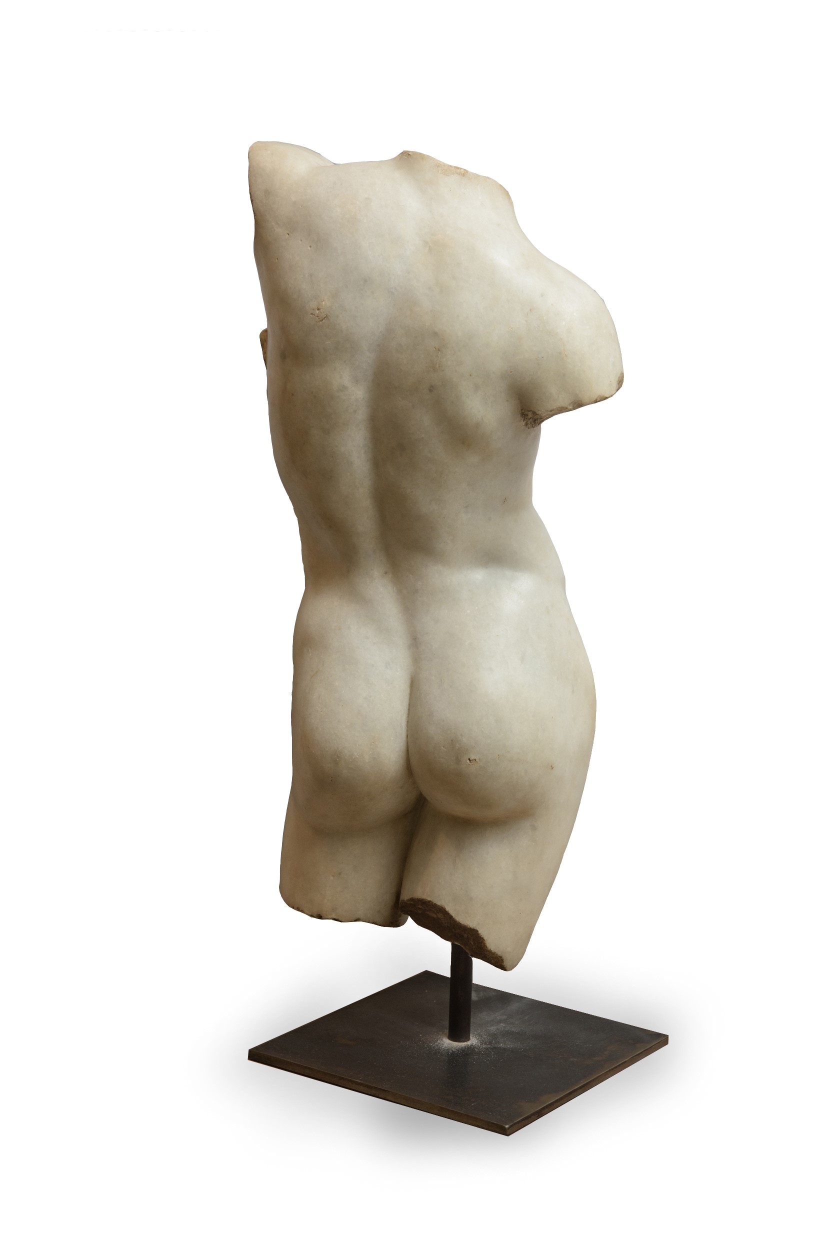 Torso maschile