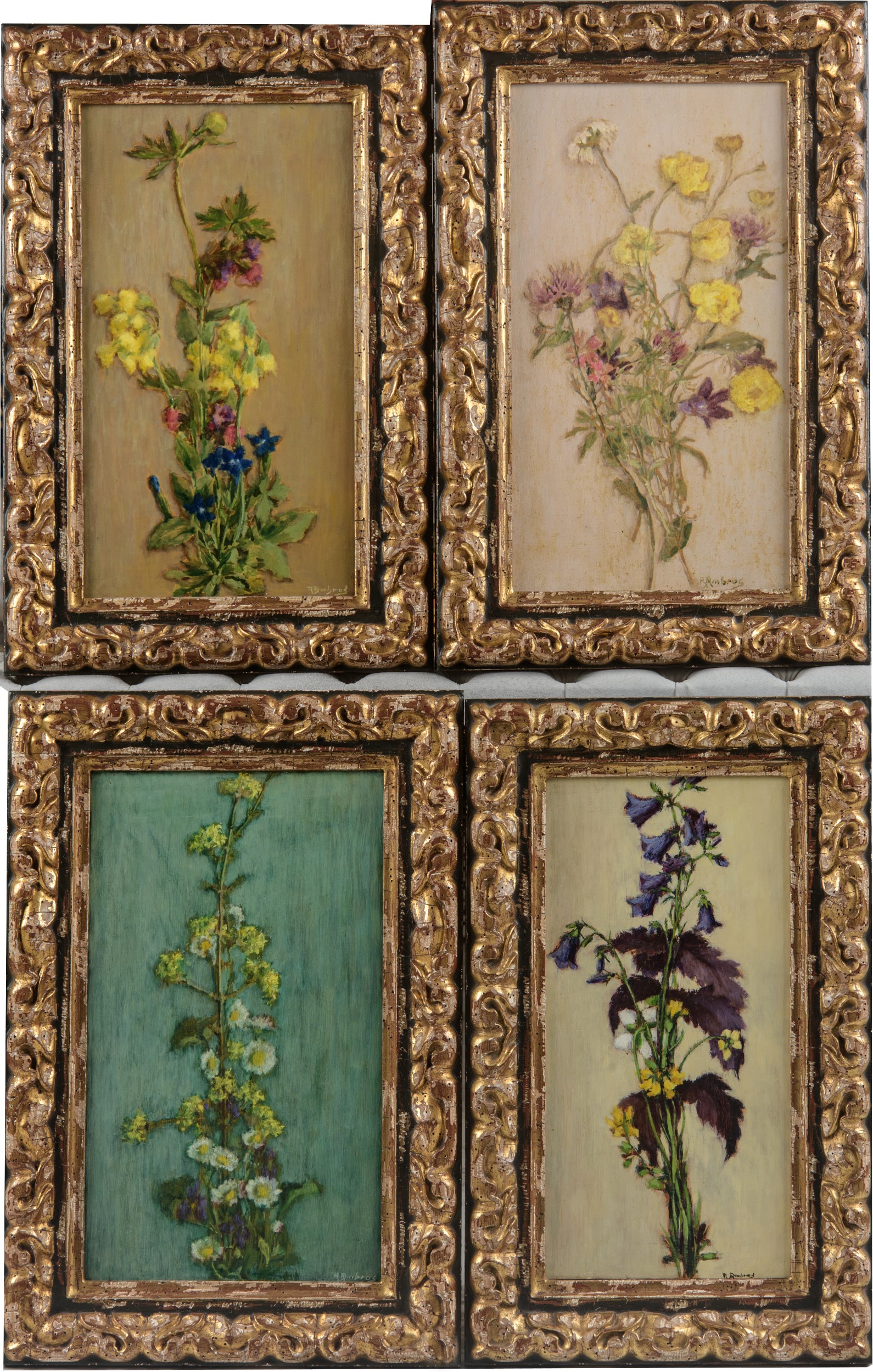 Dipinti anonimi, Otto fiori, olio su tavola