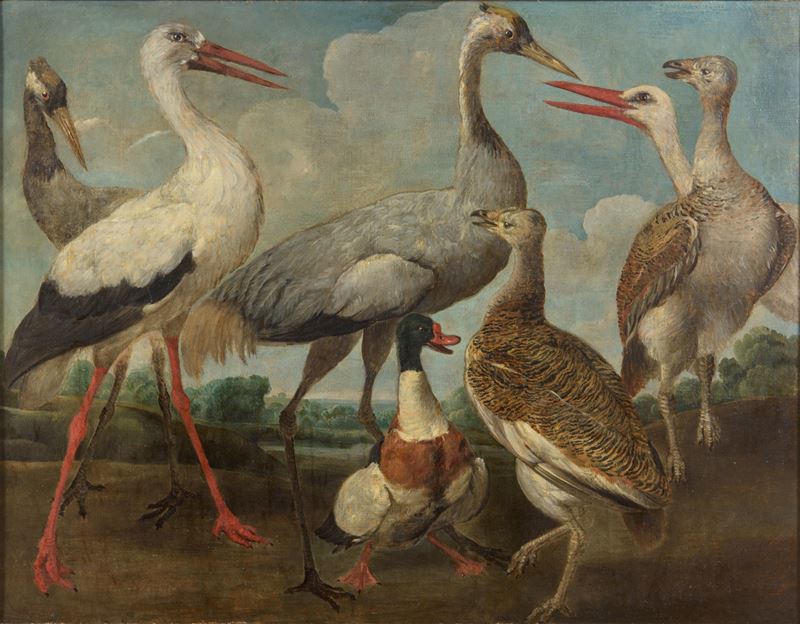 Uccelli acquatici in paesaggio