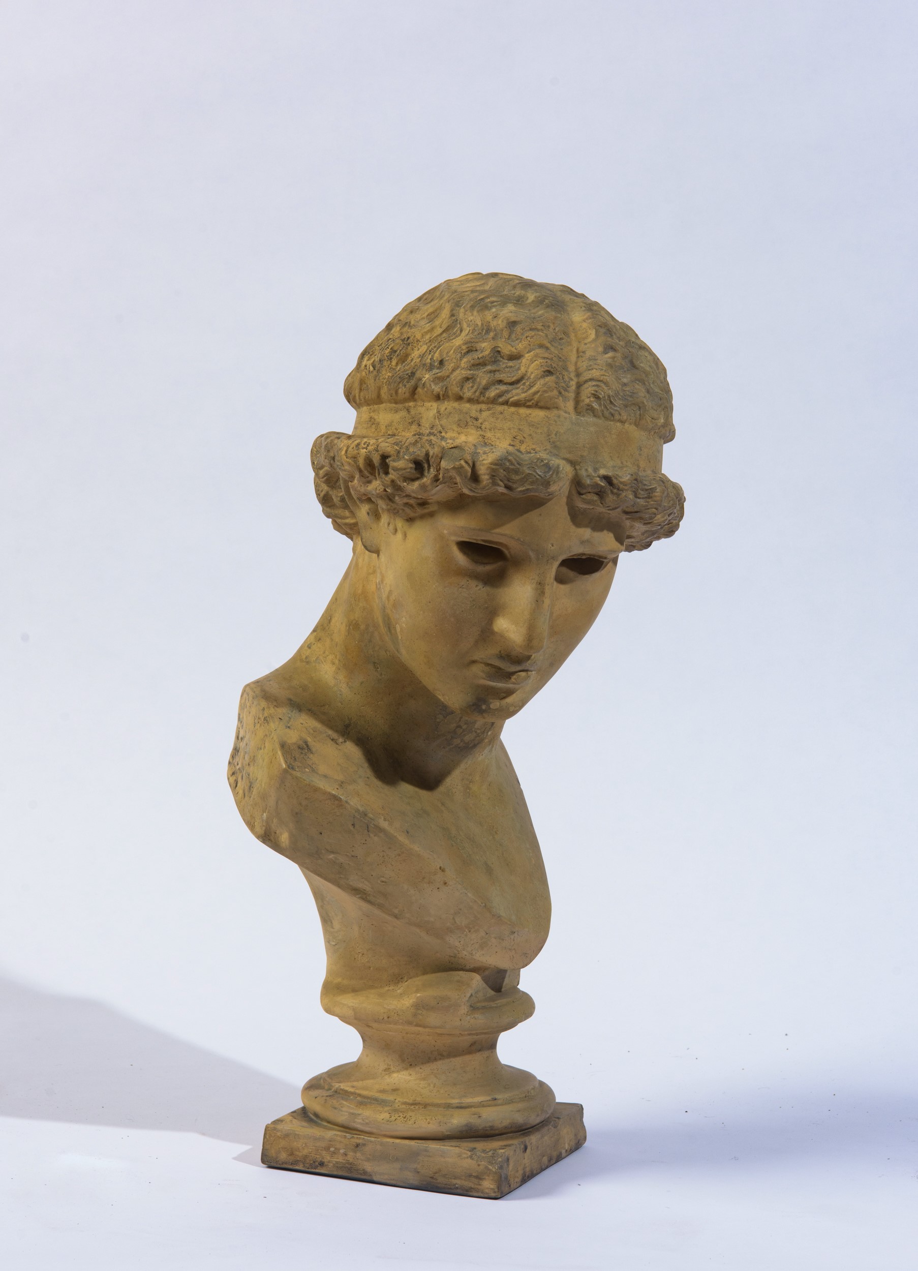 Busto raffigurante Atena Lemnia, terracotta, seconda metà XX secolo