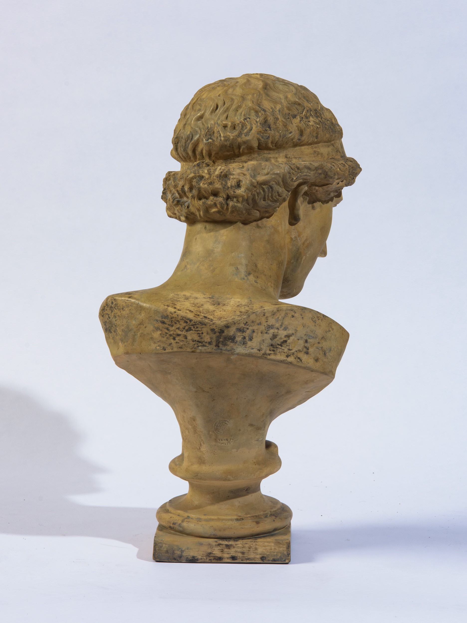 Busto raffigurante Atena Lemnia, terracotta, seconda metà XX secolo