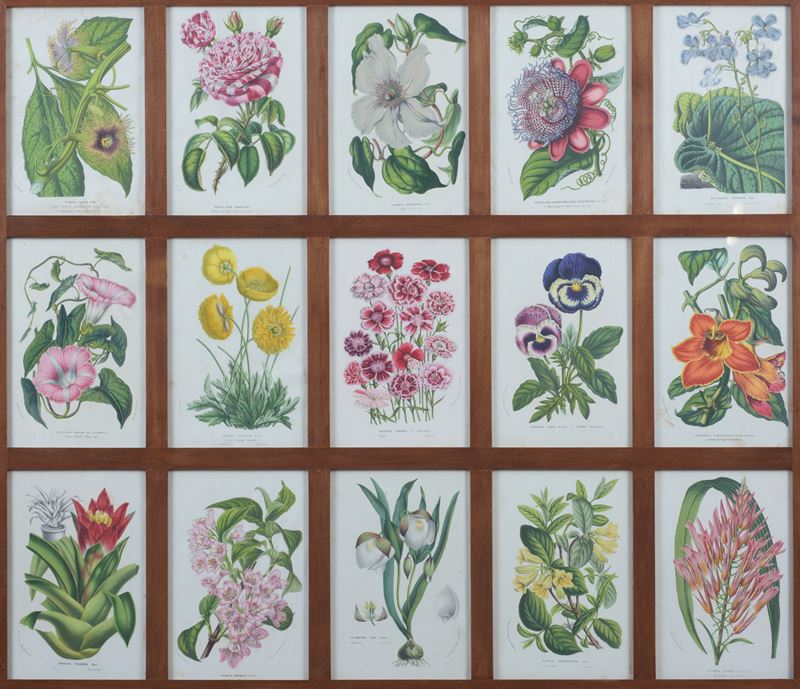Serie di 4 stampe raffiguranti fiori, manifattura moderna