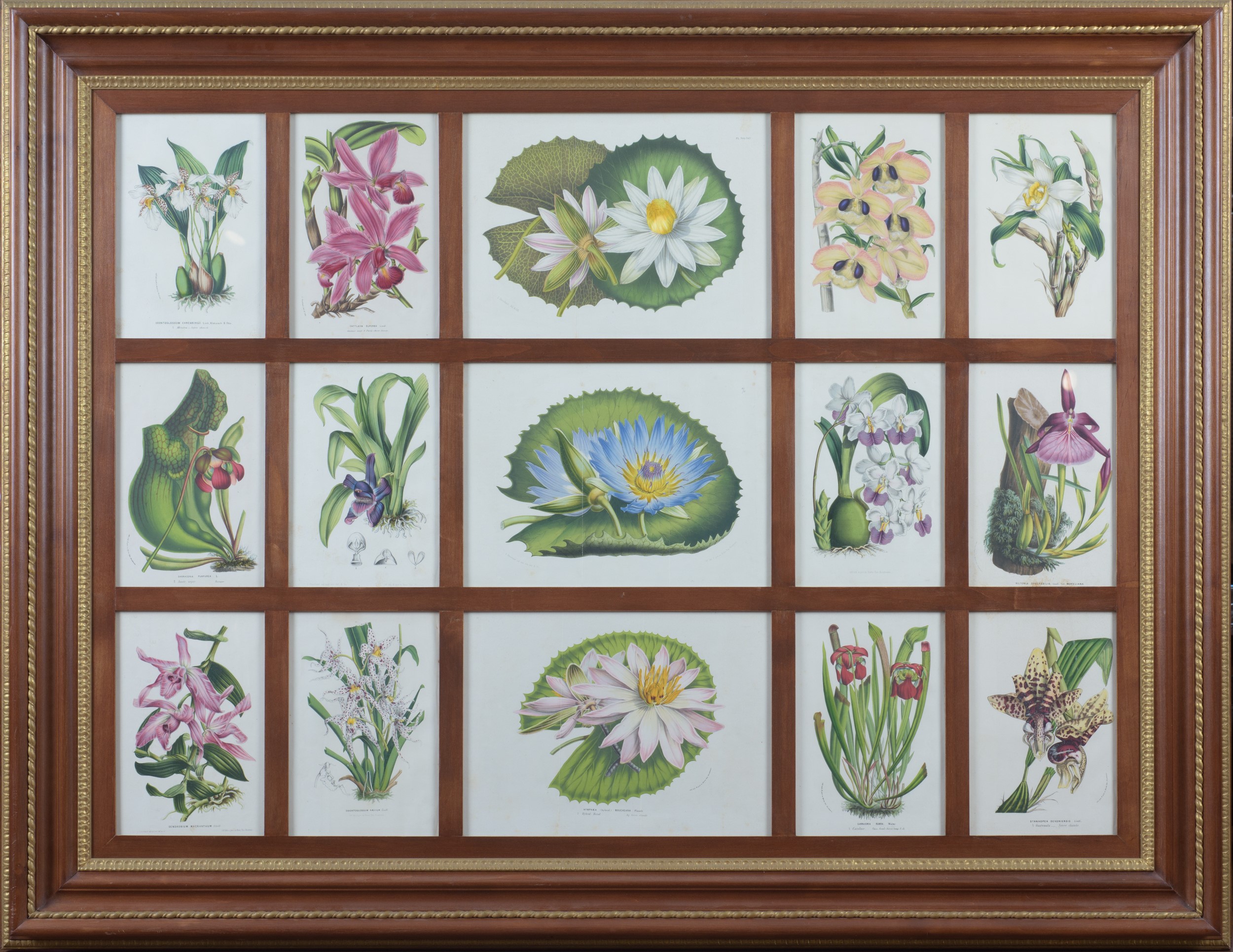 Serie di 4 stampe raffiguranti fiori, manifattura moderna