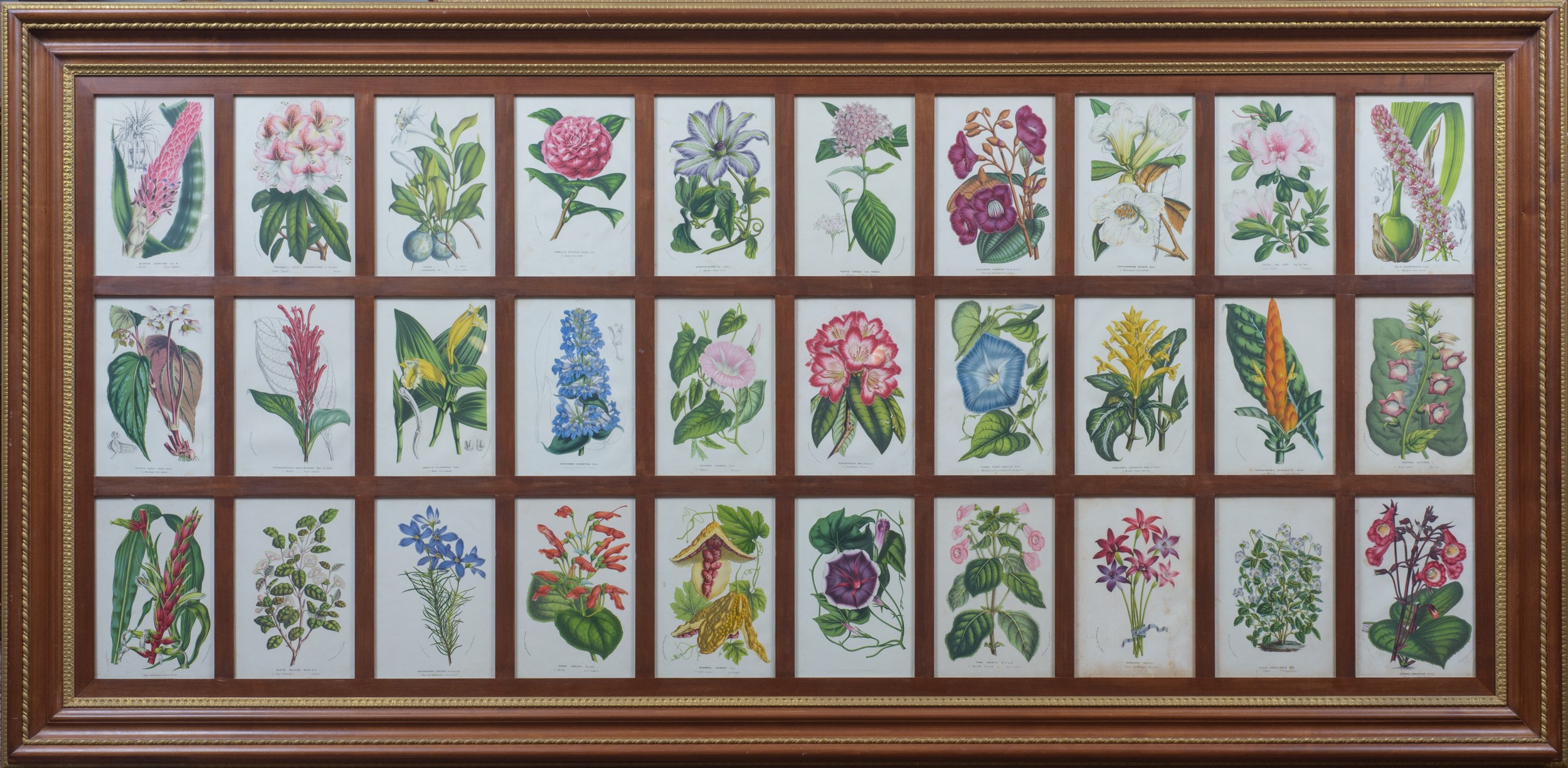 Serie di 4 stampe raffiguranti fiori, manifattura moderna