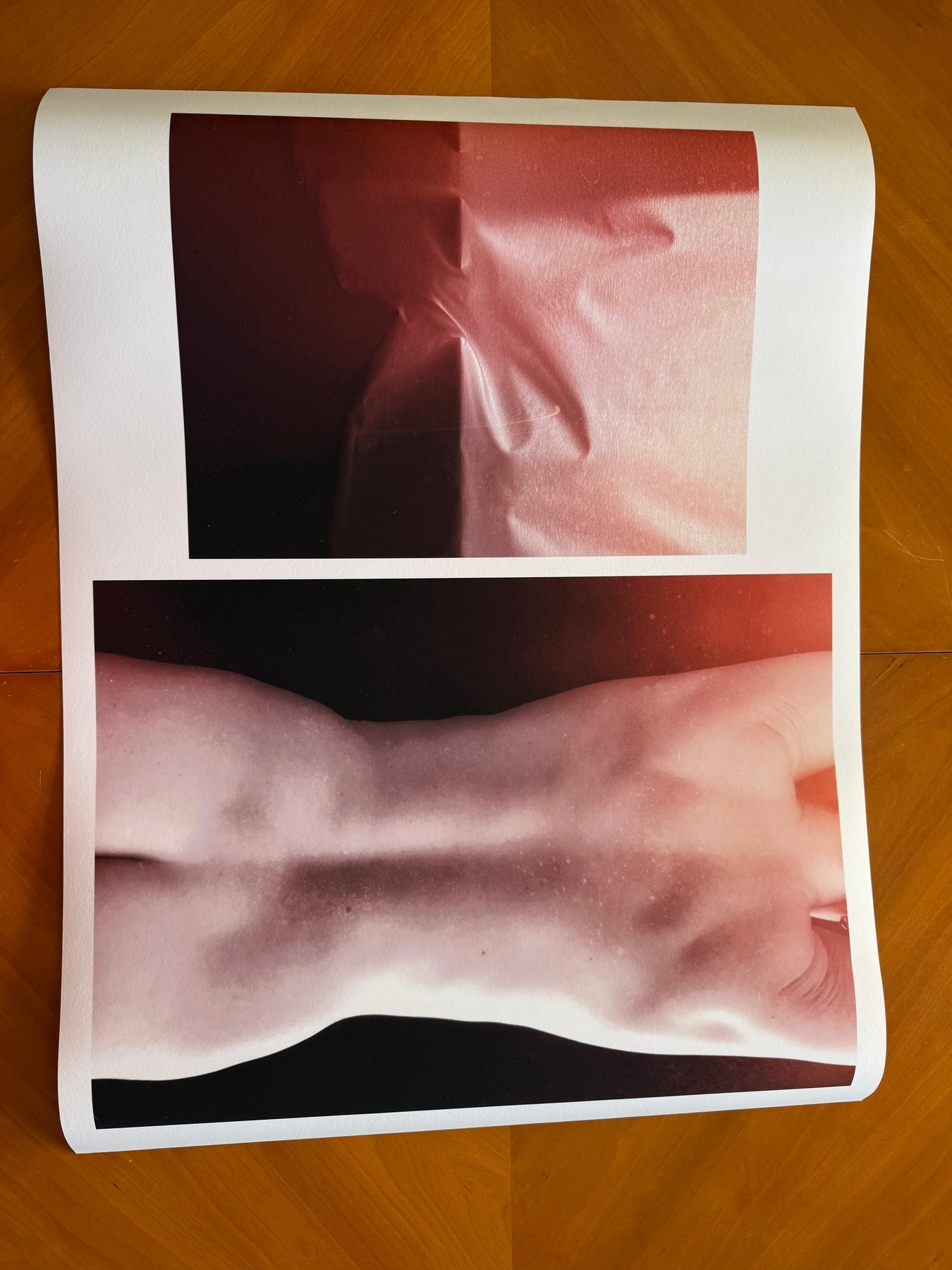 Susana Galbis - The Void And The Nude