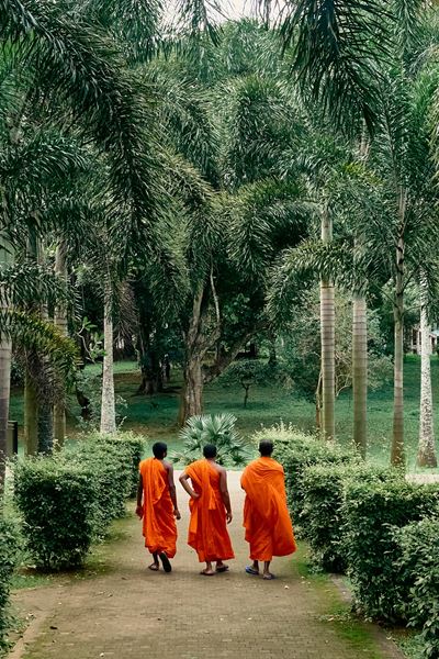 Towards, Sri Lanka, 2025