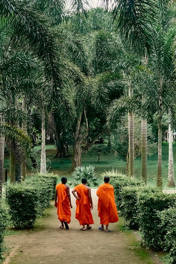 Stefano Delìa - Towards, Sri Lanka, 2025