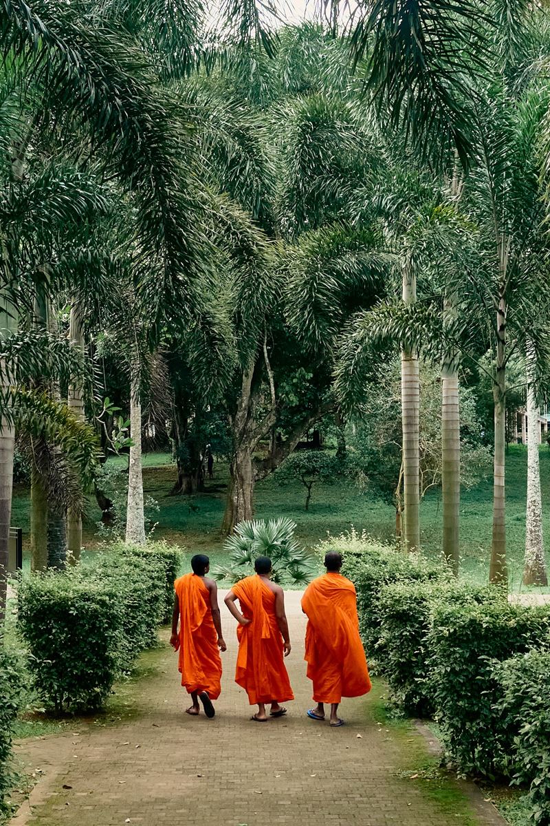 Stefano Delìa - Towards, Sri Lanka, 2025