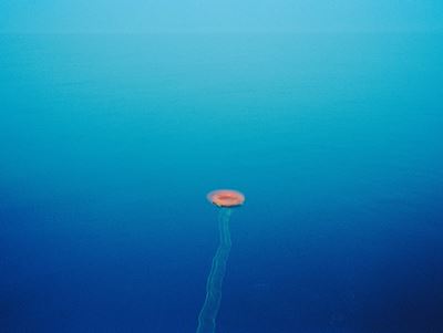 Life Buoy