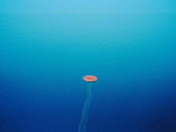 Mirei - Life buoy