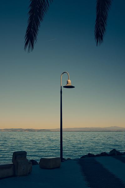 Light Always Choose