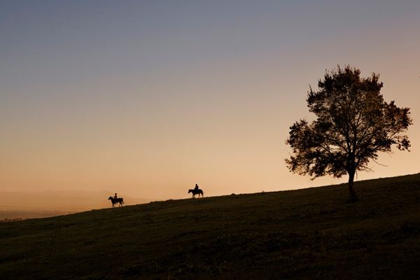 Marco Bulgarelli - The horizon