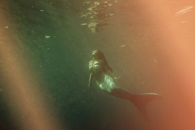 Siren