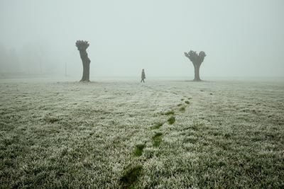 The Edge Of Reality