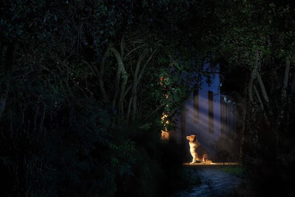 Ben Battersby - Presence Felt - BREATHE