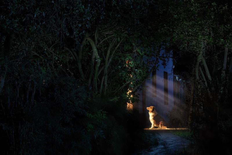 Ben Battersby - Presence Felt - Breathe