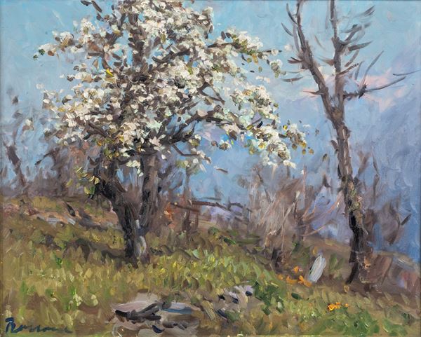 Carlo Bossone - Mandorlo in fiore